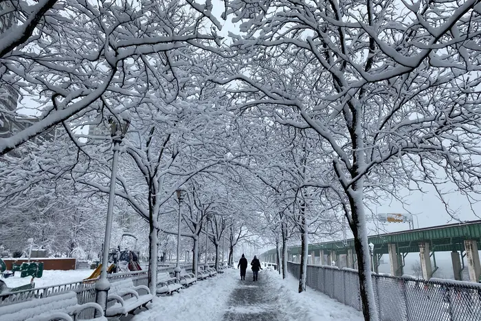 Snow-covered trees on both sides of a path in Riverside Park, with two people walking